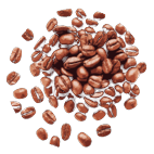Grains de café KingCafé